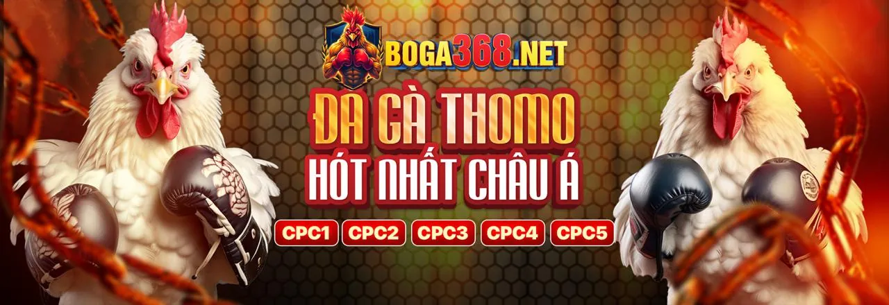 Đá Gà Trực Tuyến 13wim